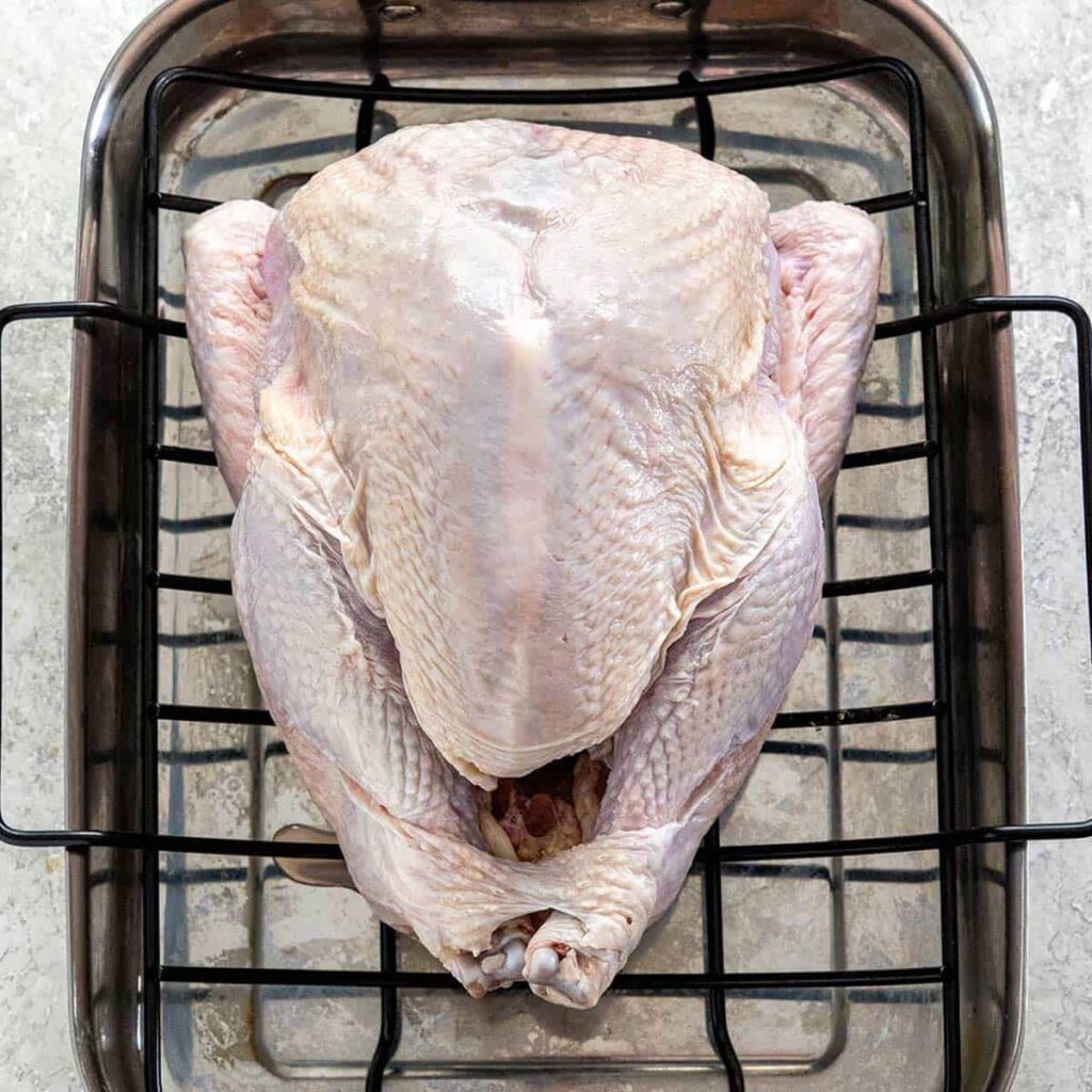 Thanksgiving turkey